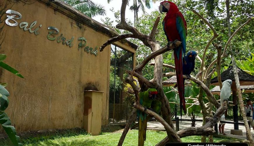 Bali Bird Park dan 8 Zona Sesuai Asal Jenis Burung