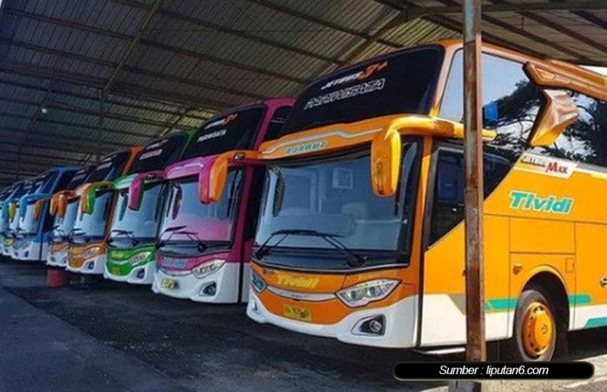 Tips Memilih Bus Pariwisata